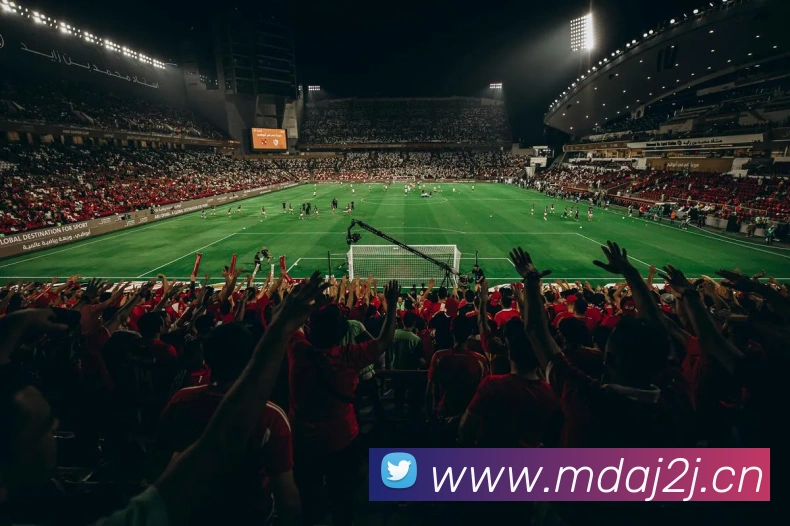 星空体育平台综合登录APP 封面图